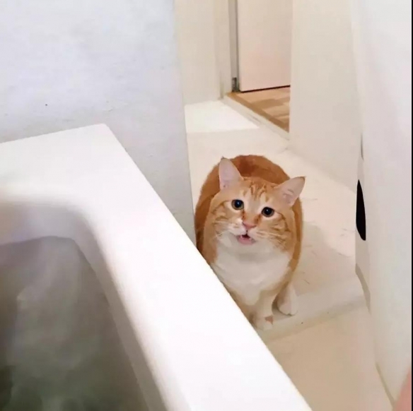 ȳһѪֻձСɥèƾȫ