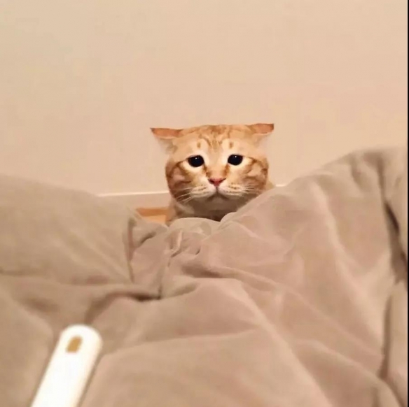 ȳһѪֻձСɥèƾȫ