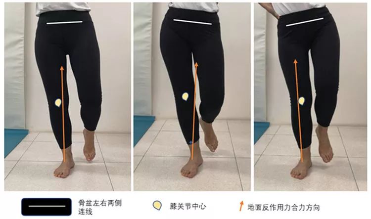 ↑步态演示。(制图:于媛媛)