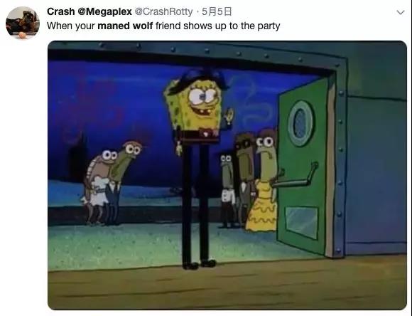 谁说大长腿就是性感的?当北极兔站起来露出大长腿后