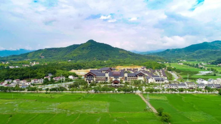 暑期去哪儿玩?荣盛康旅“山林