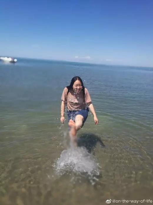 2019ϵ Ƭַ֣