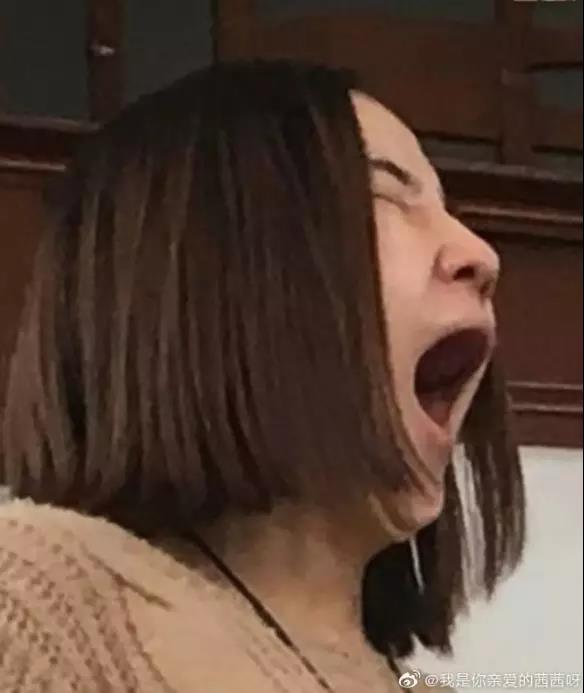 2019ϵ Ƭַ֣