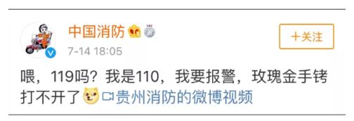 这次 轮到119致电110了