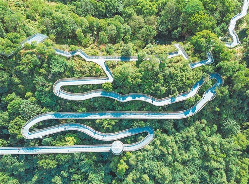 流量计数为智慧城市“添翼”