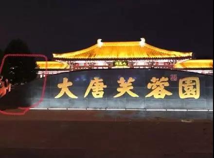 2019ϵ Ƭַ֣