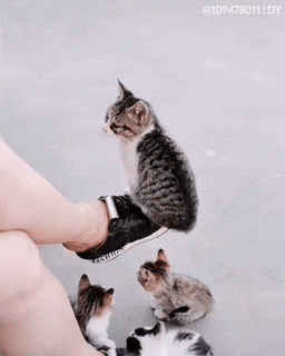  ·϶ˮ ͼ ϵħʾ