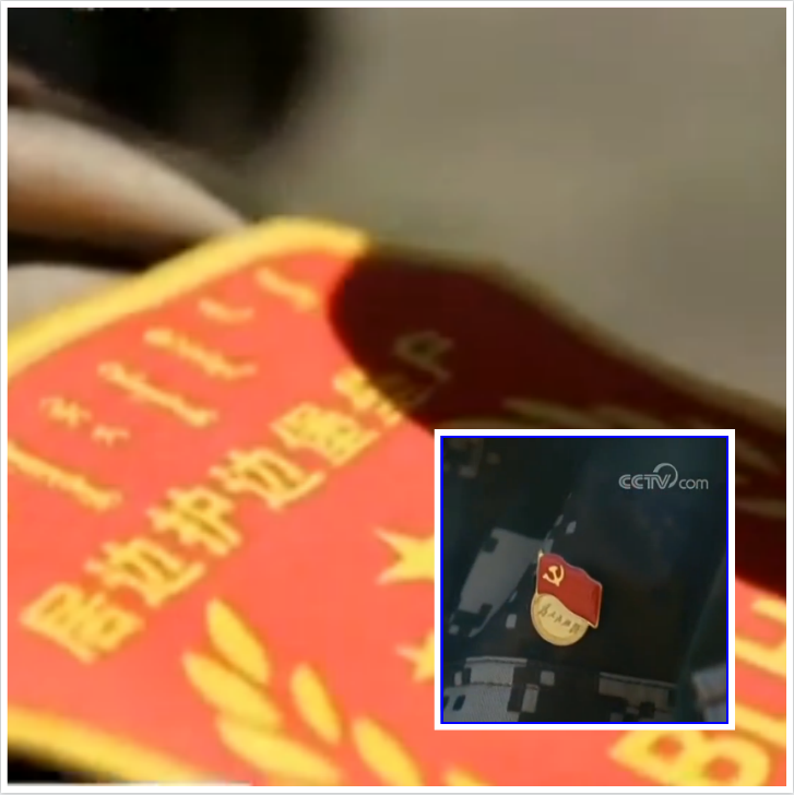 巡线,骆驼 巡线,骆驼