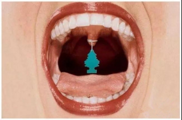 ù̫̵19Ĺ