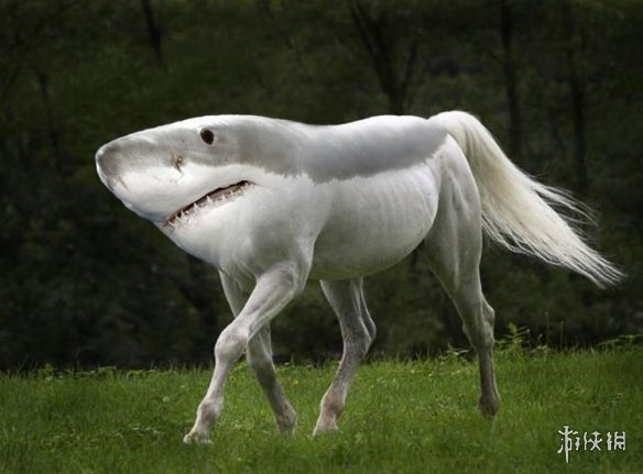 ѽͬPS ƺΥ͸