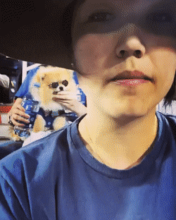 永别了 木法撒 我才是真正的喵子王! 动图 一起嗨啊