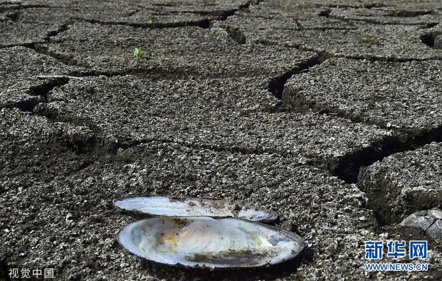 ʱ2019720գLussatɺͼƬԴӾй