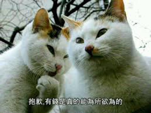 ըˣȨѶ£׵αȸ