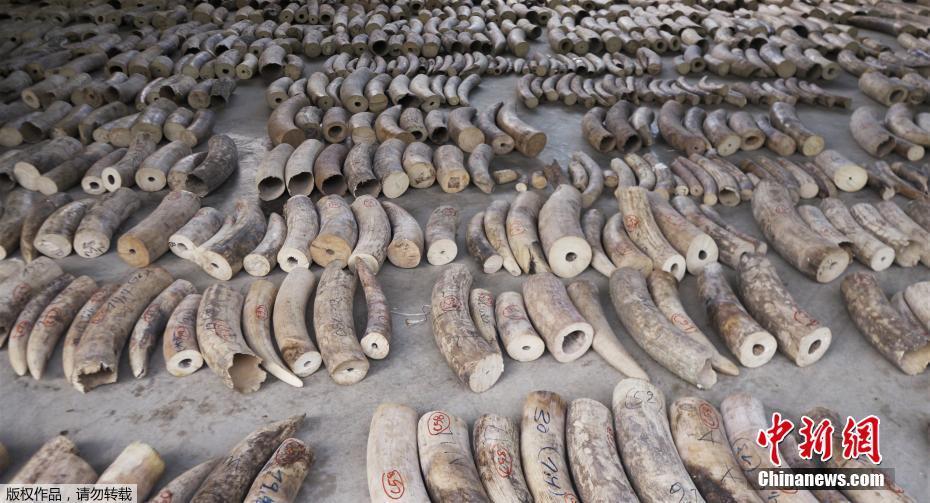 世界杯大名单-九游体育APP下载-九游体育app-九游体育app官网网站|九游体育