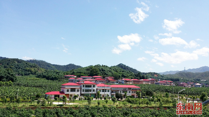 龙山镇坪埔村一角。坪埔村 供图