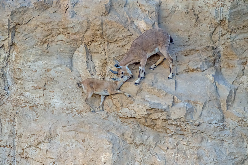 巴萨皇马直播-乐鱼app(leyu)官方网站-乐鱼官网