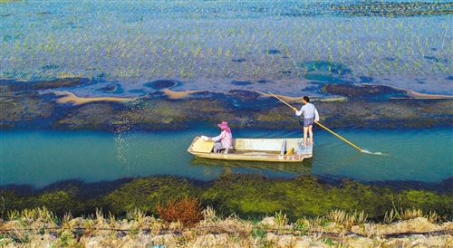 泗洪乡镇人口_泗洪世纪公园照片(2)