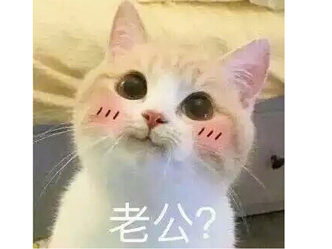 ɶƵɳ滵ͻɿֲƬ