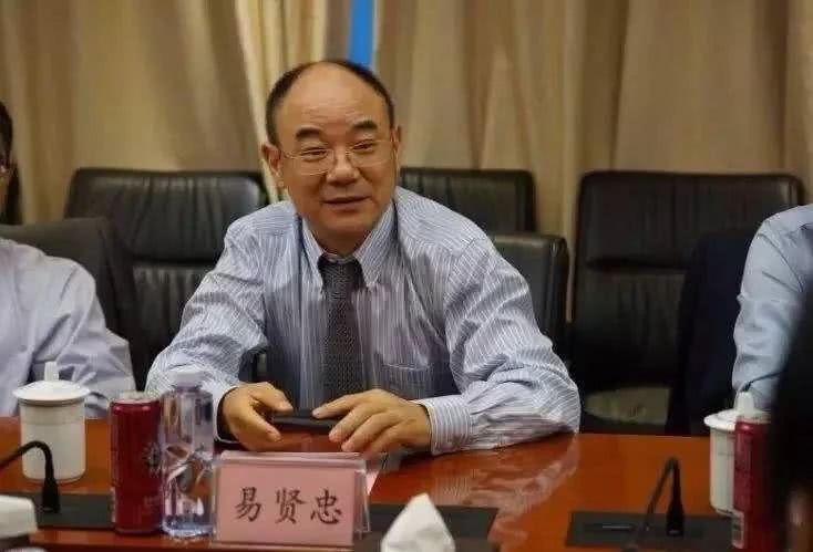 百泰董事长_百褶泰狮金鱼(3)