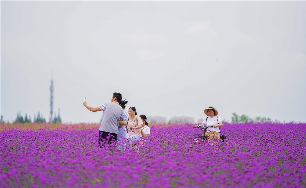 松江和奉贤gdp_奉贤新城最新规划图