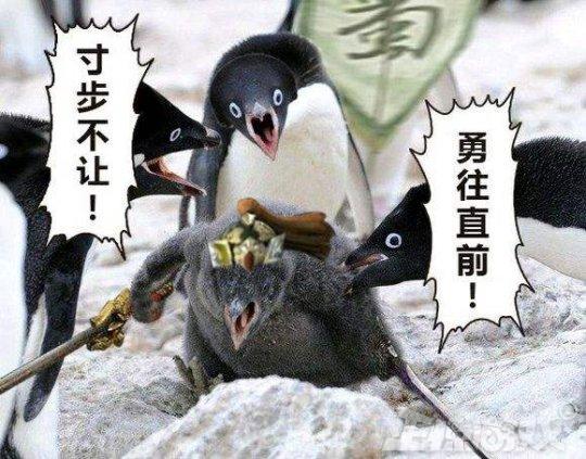 йĻձϷ˾ʮ꣬ȴӢ