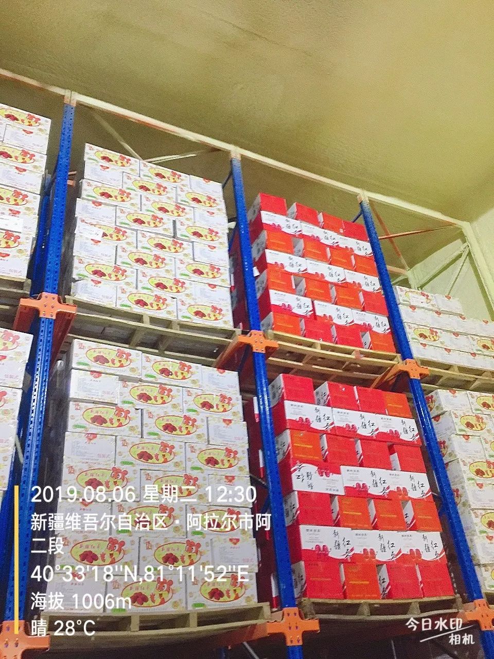 新疆,红枣,期货 新疆,红枣,期货