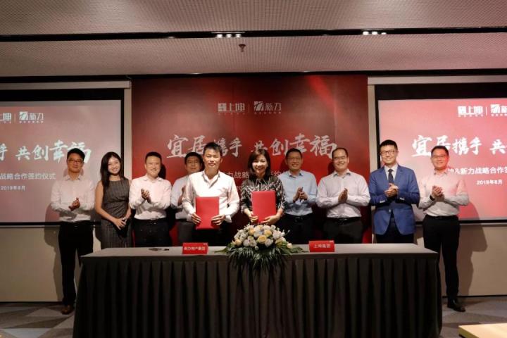 新力地产董事长张园林_新力地产杨建江(2)