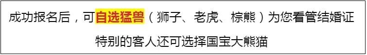 “史上最凶猛”的结婚证保管员 你还敢离婚吗？