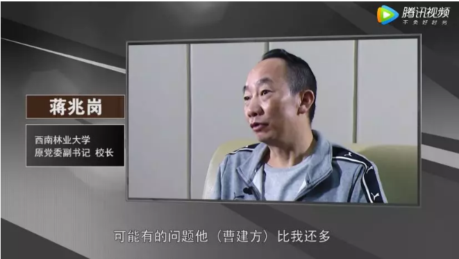 图片来源:视频截图