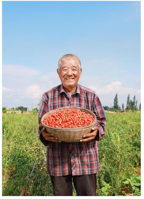 拼多多农货节1.1亿单直连5亿消费者
