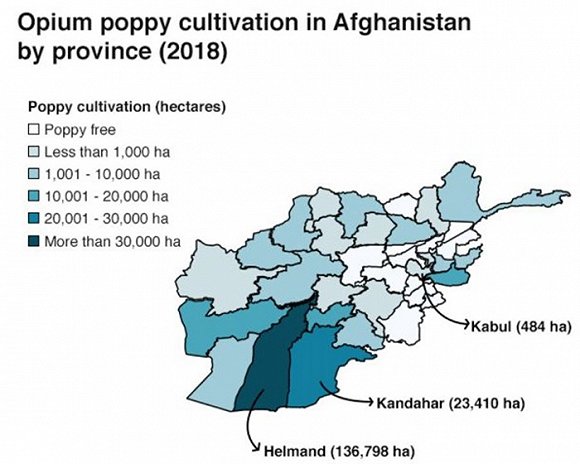 　　罂粟种植区。图片来源：BBC