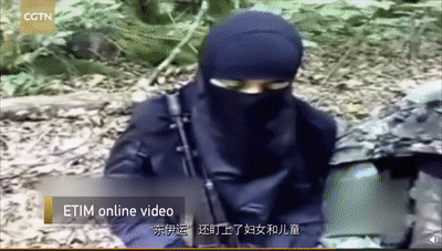 对新疆暴恐真相西媒“失明” 网友讽：该治眼睛