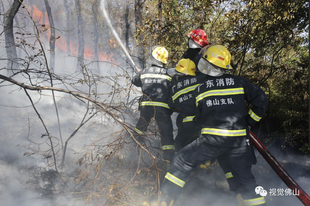 连续奋战5天扑灭佛山山火 消防员:差点变成烤红