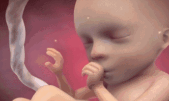 宝宝 壁纸 孩子 小孩 婴儿 332_200 gif 动态图 动图