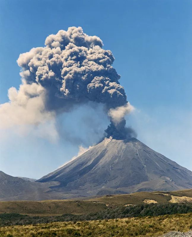 2名中国公民严重烧伤,1人昏迷!火山小岛曾估值$7.5万,岛主身份曝光