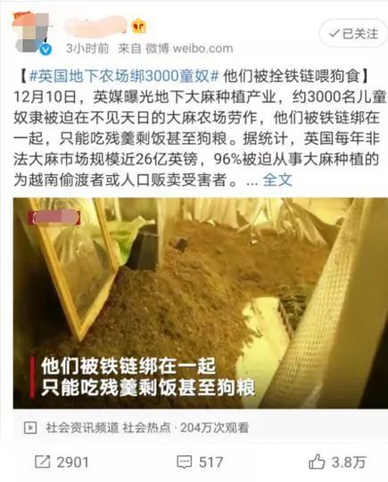 英国绑架3000奴隶童工种大麻喂狗粮？疑似假新闻