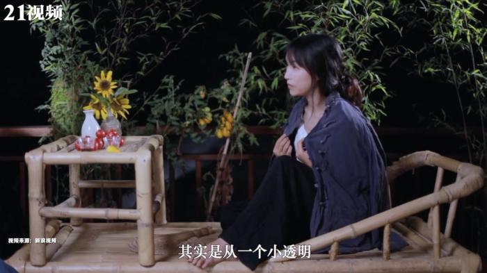 静谧的李子柒与其背后躁动的商业资本