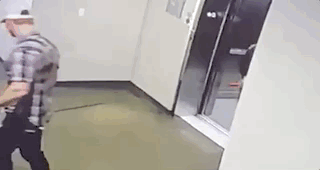 小狗狗绳被电梯卡住 美国小伙9秒惊险救援(图)
