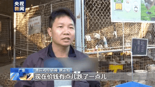 节前看消费:近期肉蛋价格向下回调 预计节前止跌