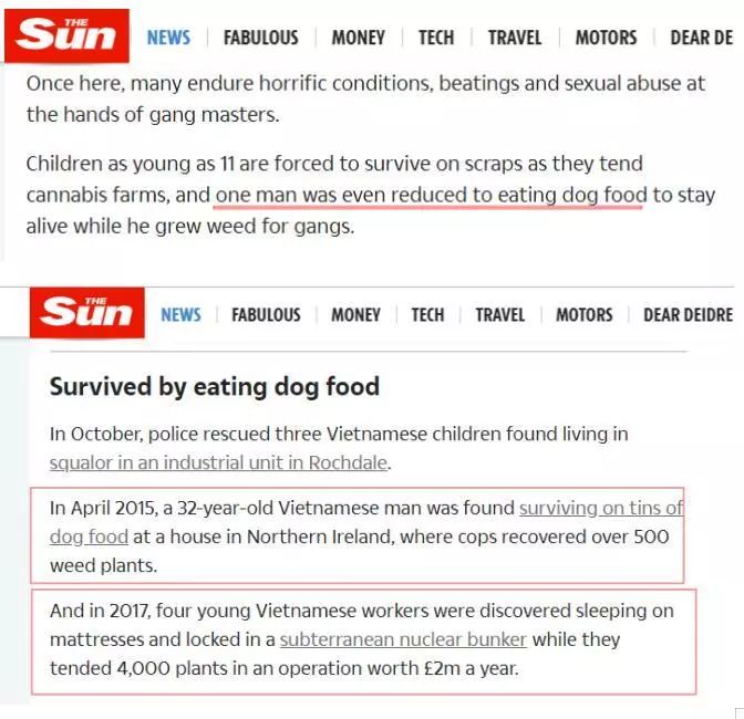 英国绑架3000奴隶童工种大麻喂狗粮？疑似假新闻