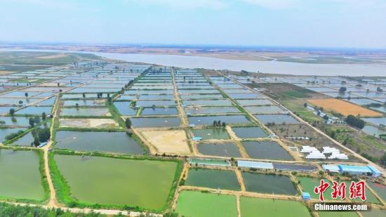 黄河委：2025年前基本控制下游游荡性河势