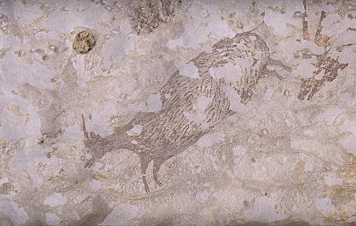英媒:印尼发现已知人类最早壁画 距今约4.4万年