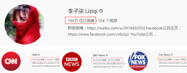 图:国外个人账号信息