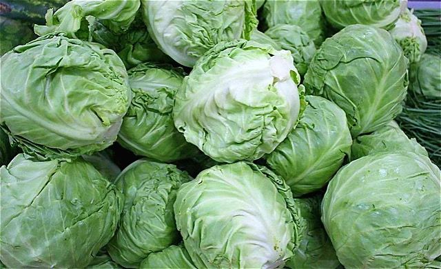 圆白菜近期价格涨幅明显:主产区供应不足
