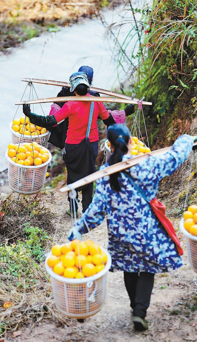 会昌县珠兰乡雁湖村人口数量_会昌县白鹅乡角屋村