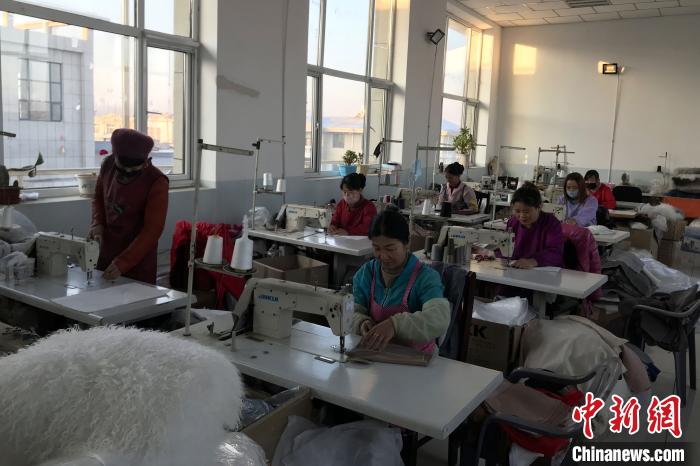 创新元素让宁夏二毛皮在海外绽放异彩(最新发布)