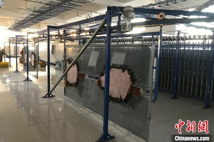 创新元素让宁夏二毛皮在海外绽放异彩(最新发布)