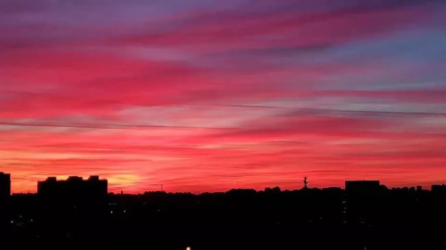 流星“绽放”夜空 今晚一起来看流星雨(图)