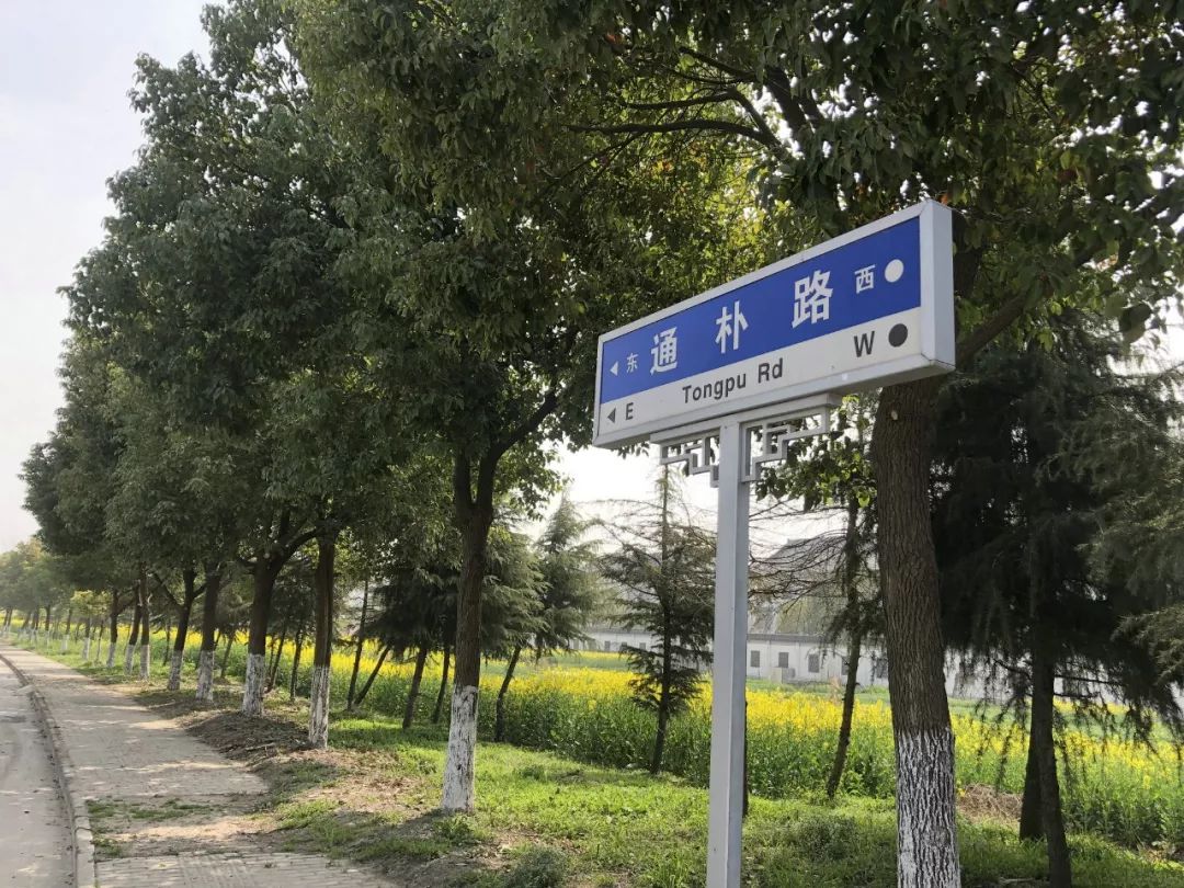 重磅！总投资120亿！扬州这个项目正式拆迁！