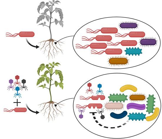 生物防治技术简介